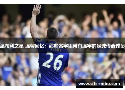 温布利之星 温馨回忆:那些名字里带有温字的足球传奇球员 温布利之星 温馨回忆:那些名字里带有温字的足球传奇球员