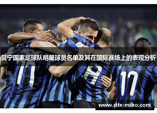 贝宁国家足球队明星球员名单及其在国际赛场上的表现分析