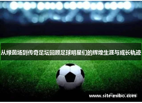 从绿茵场到传奇足坛回顾足球明星们的辉煌生涯与成长轨迹 从绿茵场到传奇足坛回顾足球明星们的辉煌生涯与成长轨迹