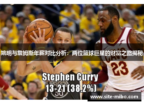 姚明与詹姆斯年薪对比分析：两位篮球巨星的财富之路揭秘