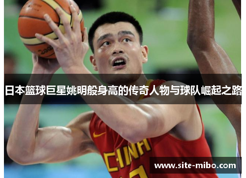日本篮球巨星姚明般身高的传奇人物与球队崛起之路