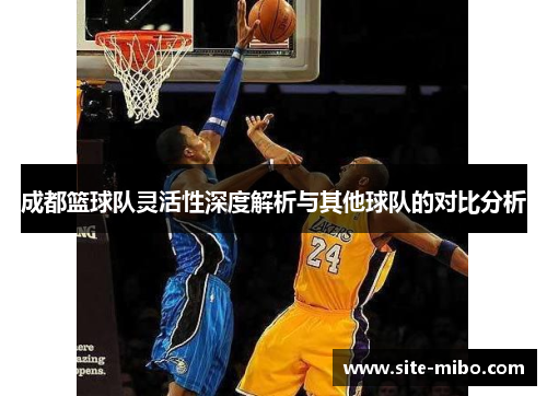 成都篮球队灵活性深度解析与其他球队的对比分析