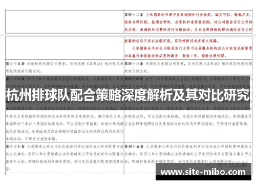 杭州排球队配合策略深度解析及其对比研究