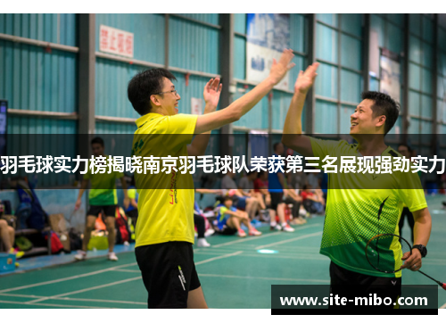 羽毛球实力榜揭晓南京羽毛球队荣获第三名展现强劲实力