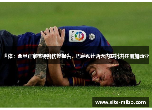 世体：西甲正审核特狮伤停报告，巴萨预计两天内获批并注册加西亚